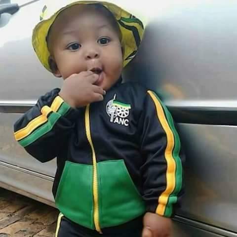 Green & Gold Tracksuits - Image 6