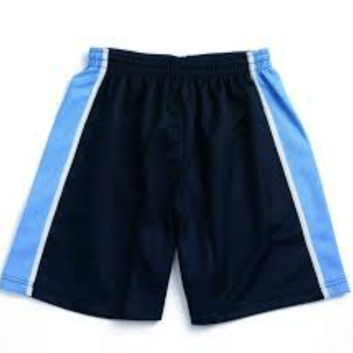 Classic 2T Shorts