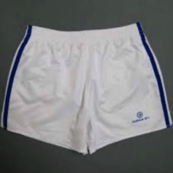 Single Stripe Shorts