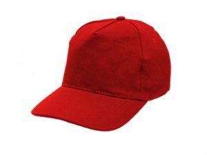 Platinum 5 Panel Caps - Image 4