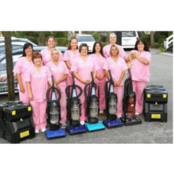 Cleaner 9-lady pink