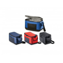 Cooler Bag 3