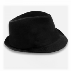 Fedora