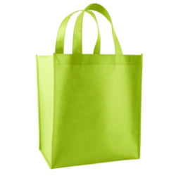 Shopping Bag